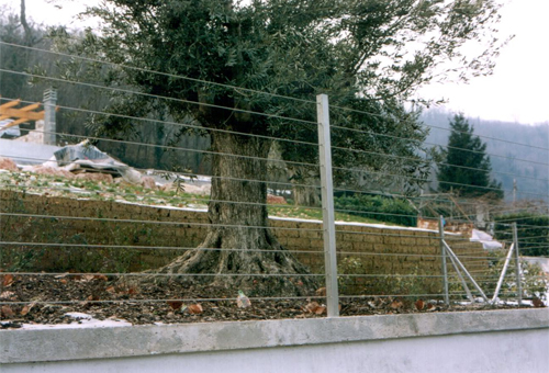 Recinzione in corde di acciaio