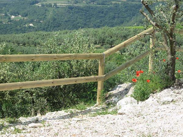 Staccionate normali in legno
